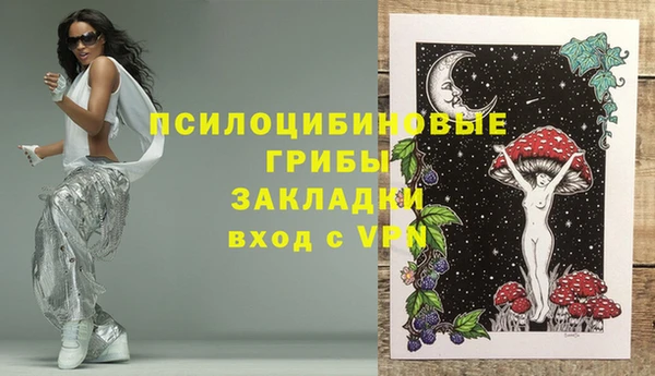 2c-b Богородск